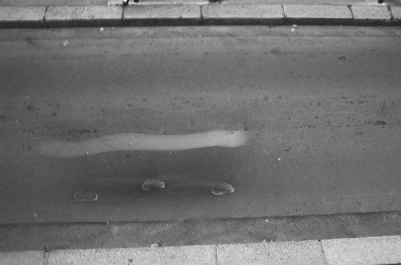 Blaize Marriott - 2021 - Collectif Omerta