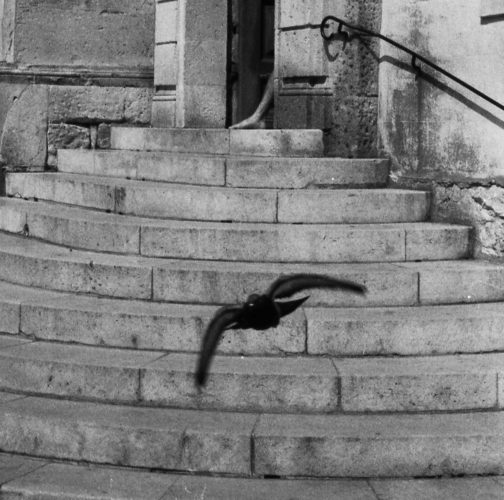 Blaize Marriott - Collectif Omerta - 2022